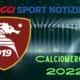 salernitana calcio mercato