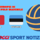 Pallavolo maschile: Italia-Estonia