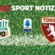 Torino Sassuolo