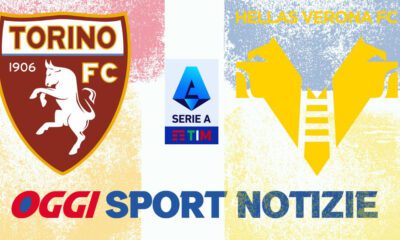 Torino Hellas Verona